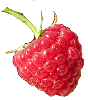 framboise